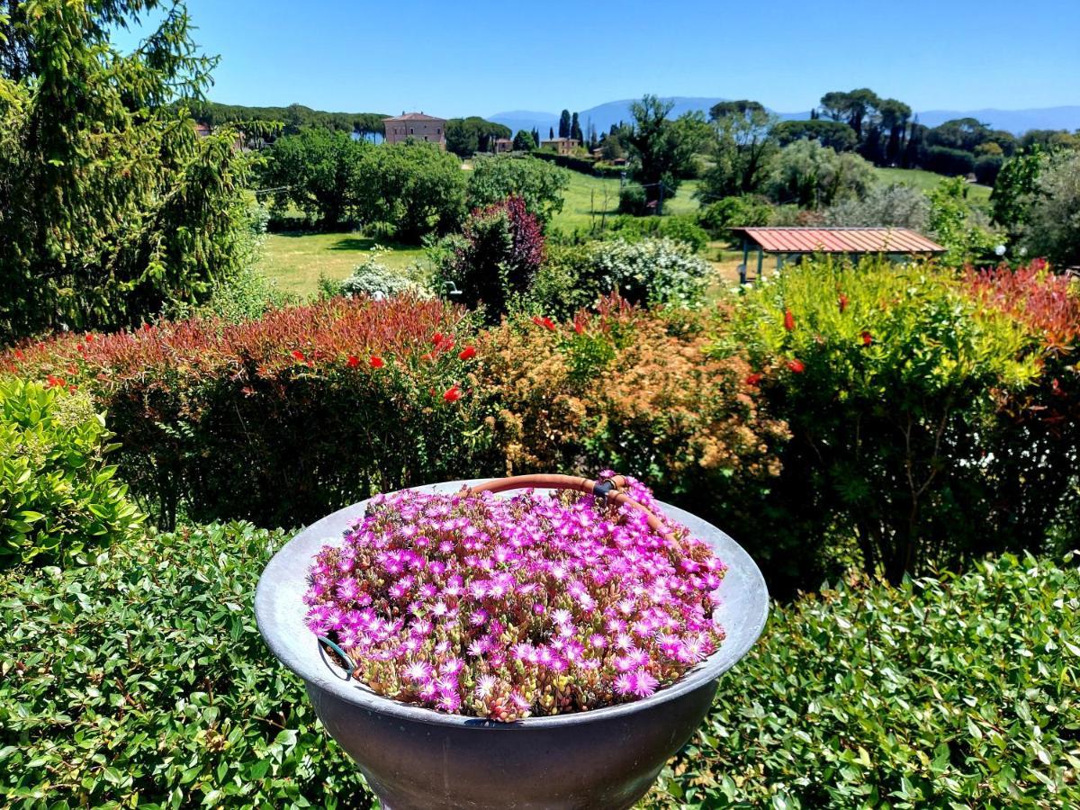 Montebello Park Hotel Perugia Esterno foto
